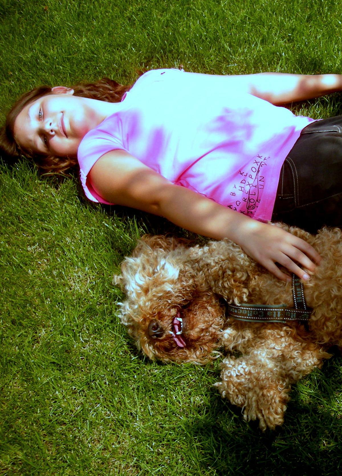 australian labradoodle